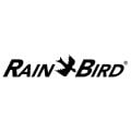 Rain Bird